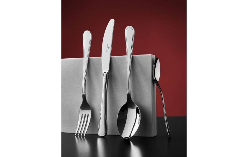 Cutlery set 68 pcs. ANTICA glossy + case